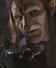 chapter illustration